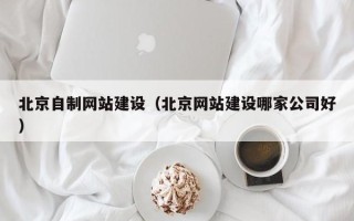 石嘴山北京自制网站建设（北京网站建设哪家公司好）